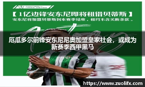 yy易游