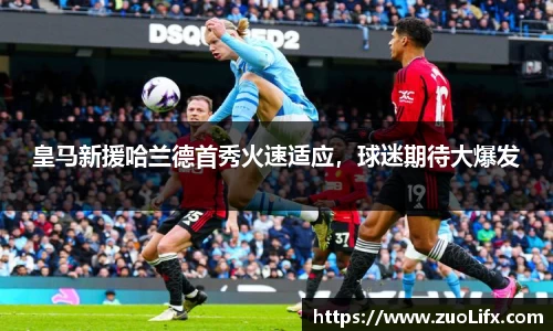 易游体育