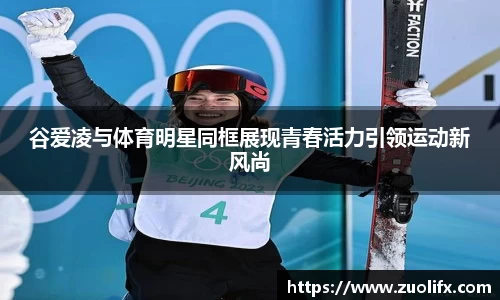 yy易游