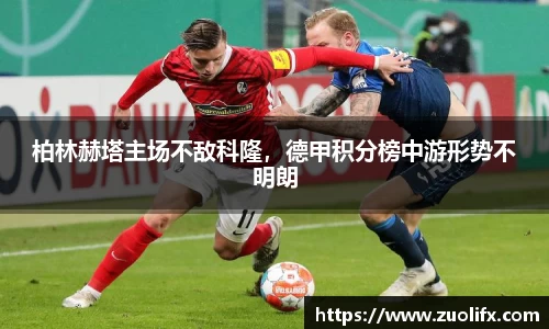 yy易游体育