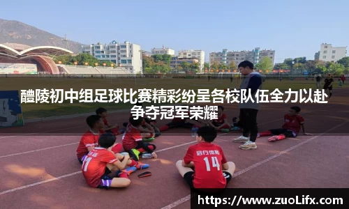 yy易游