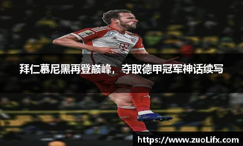 yy体育