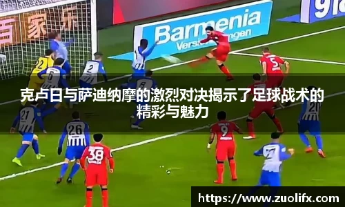 yy体育