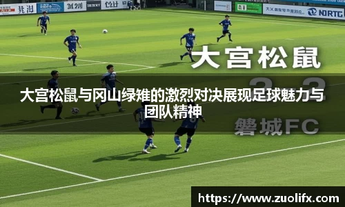 yy体育