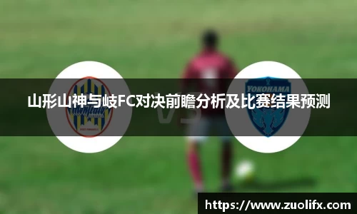yy易游体育