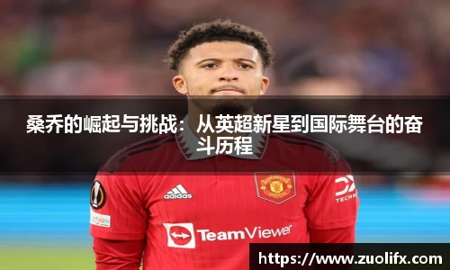 易游体育